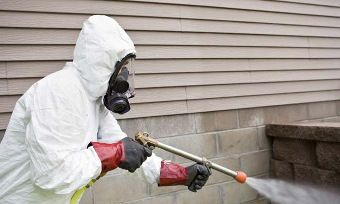 Urban Pest control Management Services