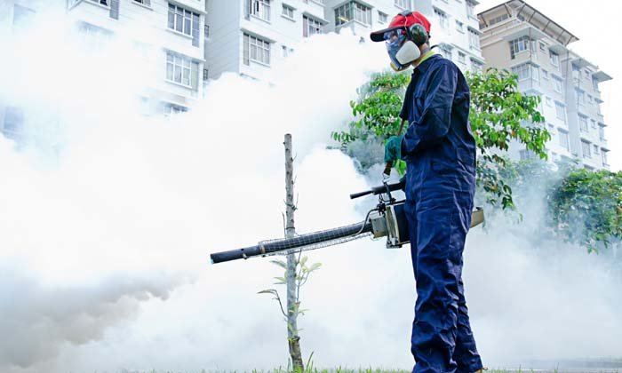 Urban Pest control Management Services