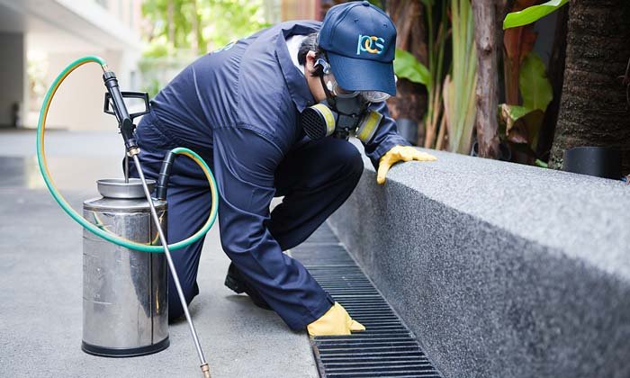 Urban Pest control Management Services