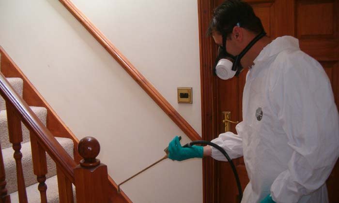 Urban Pest control Management Services