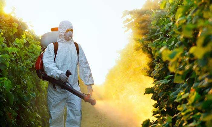 Urban Pest control Management Services